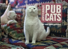 cover Amsterdam pubcats
